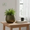 Artisan Glazed Egg-Shape Planters - Wholesale Luxury Indoor & Outdoor Pots and Planters