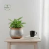 Artisan Glazed Egg-Shape Planters - Wholesale Luxury Indoor & Outdoor Pots and Planters