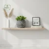 Artisan Glazed Egg-Shape Planters - Wholesale Luxury Indoor & Outdoor Pots and Planters