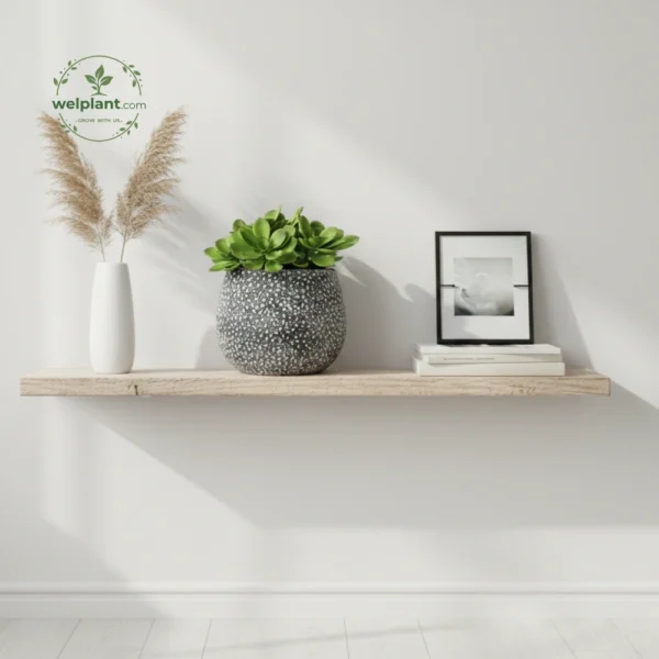Artisan Glazed Egg-Shape Planters - Wholesale Luxury Indoor & Outdoor Pots and Planters