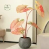 Artisan Glazed Egg-Shape Planters - Wholesale Luxury Indoor & Outdoor Pots and Planters