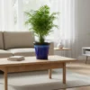 Artisan Glazed Planters - High-Gloss Tapered Pots