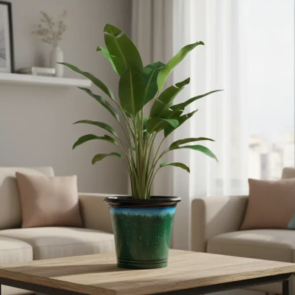 Artisan Glazed Planters - High-Gloss Tapered Pots
