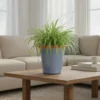 Artisan Glazed Planters - High-Gloss Tapered Pots