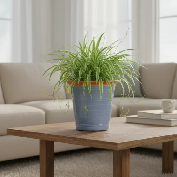 Artisan Glazed Planters - High-Gloss Tapered Pots