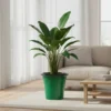 Artisan Glazed Planters - High-Gloss Tapered Pots