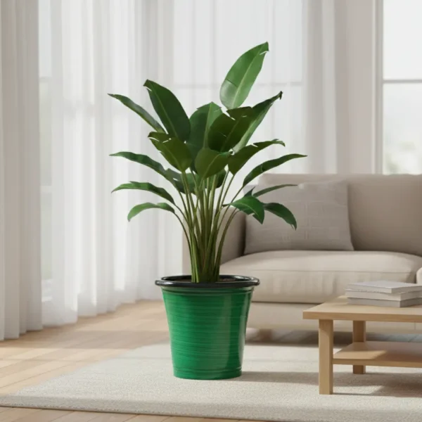 Artisan Glazed Planters - High-Gloss Tapered Pots