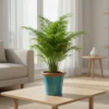 Artisan Glazed Planters - High-Gloss Tapered Pots