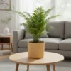 Diamond Embossed Decorative Planters - Elegant Patterned Decor Pots