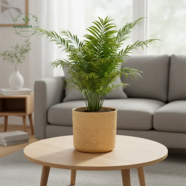 Diamond Embossed Decorative Planters - Elegant Patterned Decor Pots