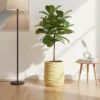 BLC Series Horizontal Wave Planters - Organic Stone Texture