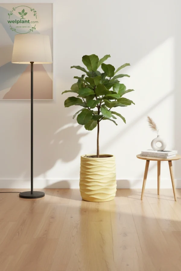 BLC Series Horizontal Wave Planters - Organic Stone Texture
