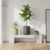 BLC Series Horizontal Wave Planters - Organic Stone Texture