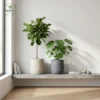 BLC Series Horizontal Wave Planters - Organic Stone Texture