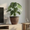 Leaf-Weave Textured Planters - Nature-Inspired Decorative Pots