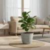 Textured Planters - Nature-Inspired Decorative Pots
