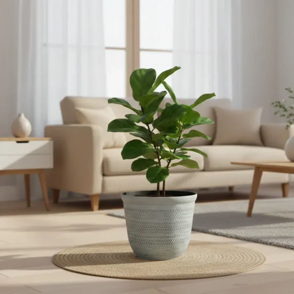 Textured Planters - Nature-Inspired Decorative Pots