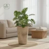 Linear Etched Tall Planters - Modern Geometric Texture