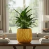 Modern Rippled Wave Planters - Wholesale Textured Vertical Pattern Pots