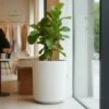 Natural Sandstone Planter 1 Natural Sandstone Planters - Minimalist Stone Texture Pots