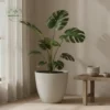 Natural Stone Texture Planters - Soft Rounded Organic Texture Pots