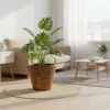 Wide Opening Rustic Planters