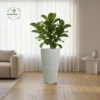 Tall Natural Stone Planters - Architectural Tapered Pots