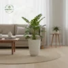 Vertical Rain Texture Planters - Distressed Industrial Texture Pots