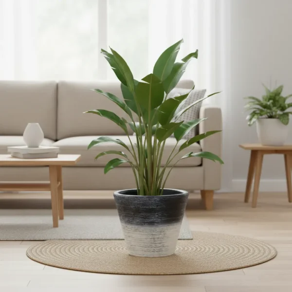 Rustic Horizon Planters - Wide Opening Textured Statement Pots