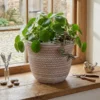 PP Plastic Planter Pot | Lightweight Modern Flower Pot in Multiple Colors