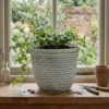 PP Plastic Planter Pot | Lightweight Modern Flower Pot in Multiple Colors