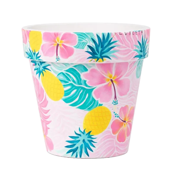 Colorful Flower Pot Colorful Flower Pot Series – Decorative Plastic Planters with Multiple Patterns | 2026 WelPlant Collection