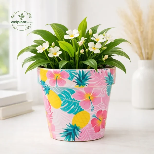 Colorful Flower Pot Series – Decorative Plastic Planters with Multiple Patterns | 2026 WelPlant Collection