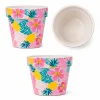 Colorful Flower Pot Series – Decorative Plastic Planters with Multiple Patterns | 2026 WelPlant Collection