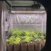 Linkable LED Grow Light Bar (26W / 42W) for Propagation & Flowering