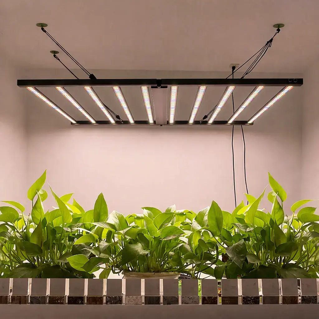 Full spectrum LED grow light over mature plants