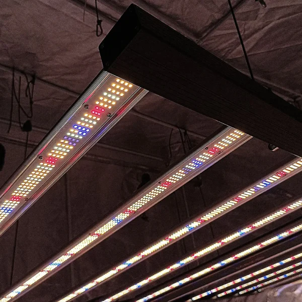 800W 8-Bar Foldable Full Spectrum LED Grow Light