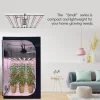 500W foldable LED grow light-application 500W Full Spectrum Foldable LED Grow Light 6-Bar Frame – Ultra-High Efficacy 2.75 μmol/J (1375 μmol/s PPF, 660nm Red & 730nm Far-Red IR, 180° Foldable Design, AC 110-277V for 3x3ft Canopy Coverage)