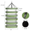 Hanging Herb Drying Net Rack with Enclosed Zippers – 2FT / 60cm Collapsible Mesh Dryer (2, 4, 6, 8 Tier Options) with Carrying Bag for Herbs, Flowers, Plants & Food