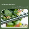 Portable Mini Greenhouse with Heavy-Duty Reinforced PE Cover – 2, 3, 4, 5 Tier Adjustable Plant Stand & Seed Starting Rack for Indoor & Outdoor Garden