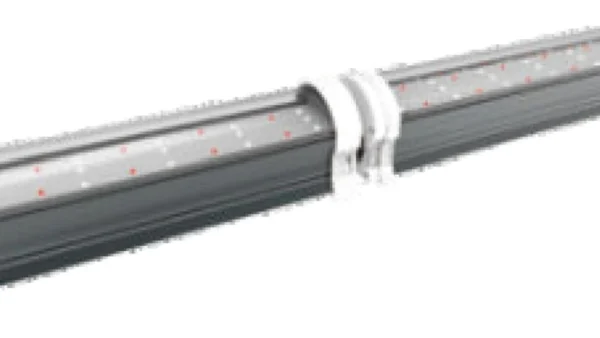 Two WT120-2S fixtures connected end to end with a jumper